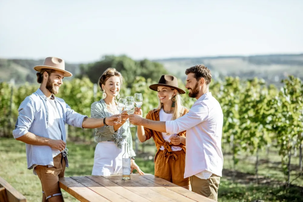 A Closer Look at Hunter Valley Tours