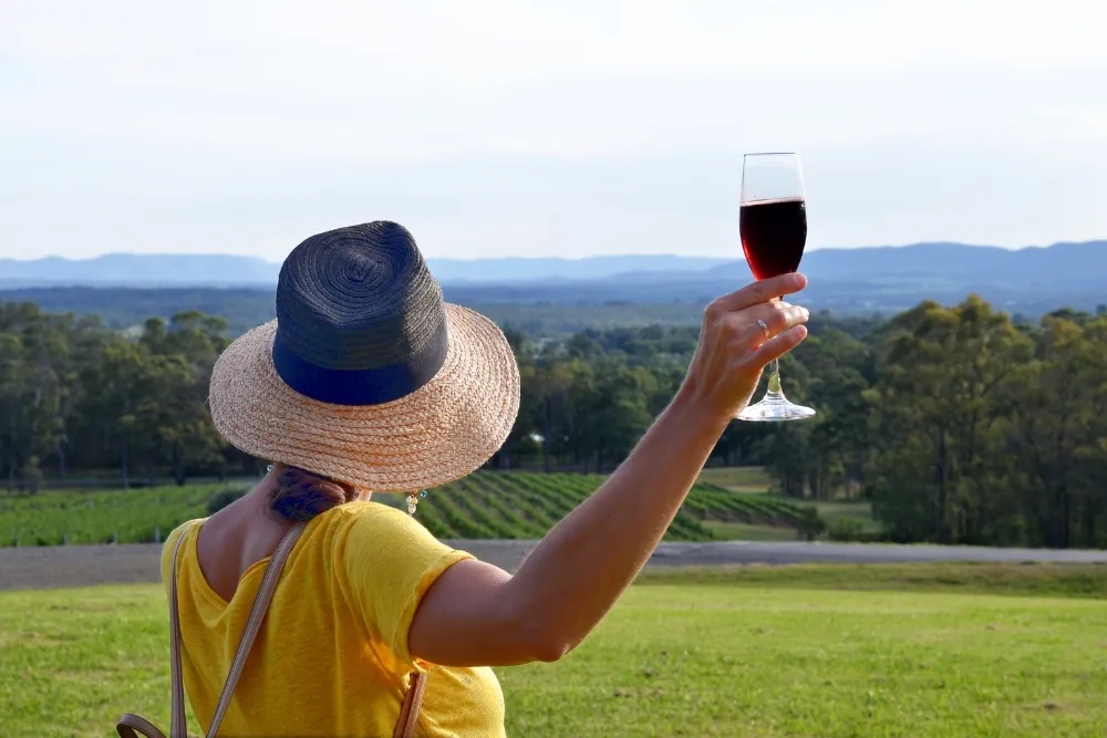 Savour Wine Without Breaking the Bank
