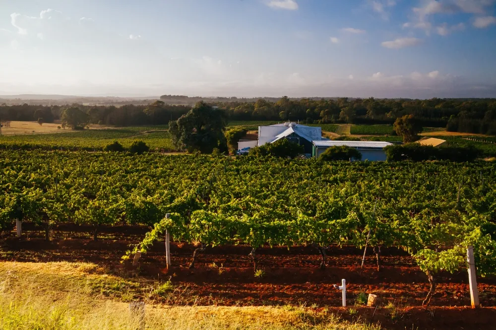 Unique Winery Experiences